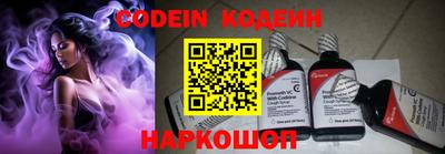 индика Обь
