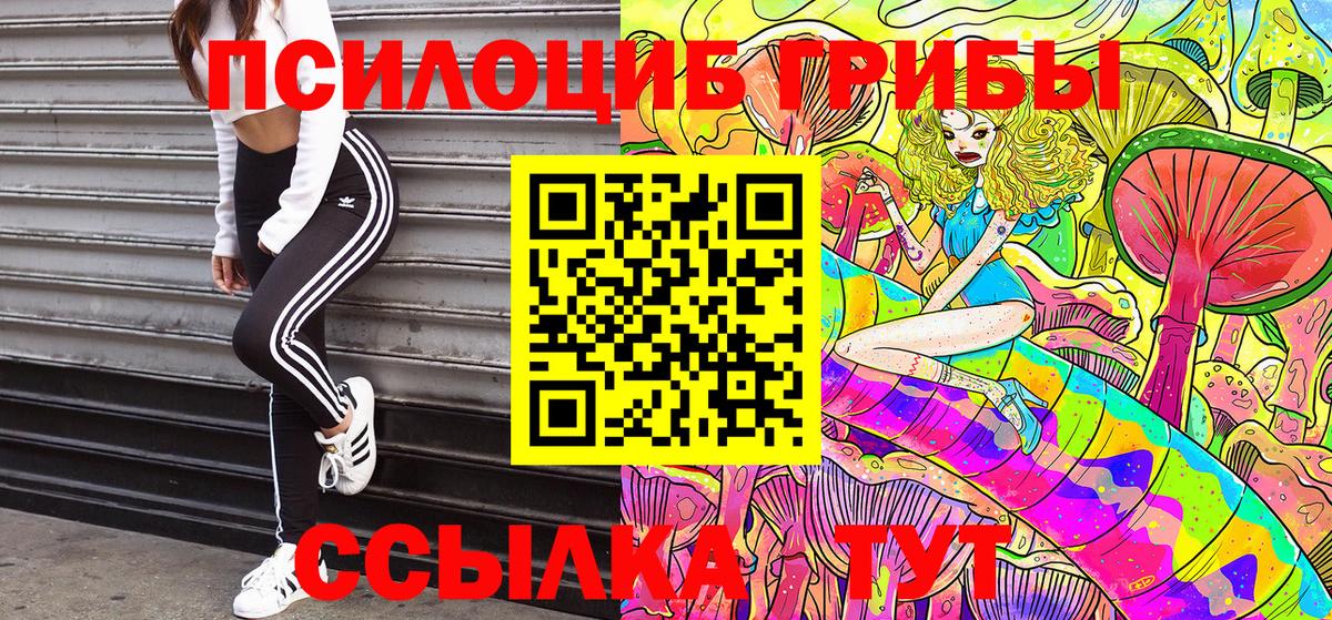 Галлюциногенные грибы MAGIC MUSHROOMS  Вход с VPN  где можно купить   Ростов-на-Дону 