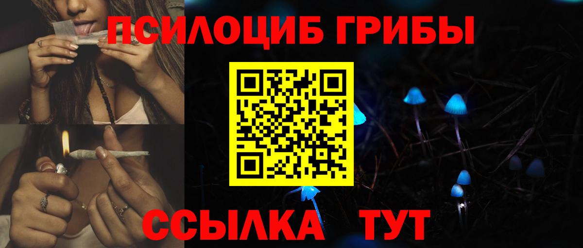 Галлюциногенные грибы MAGIC MUSHROOMS Ростов-на-Дону